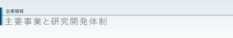 主要事業と研究開発