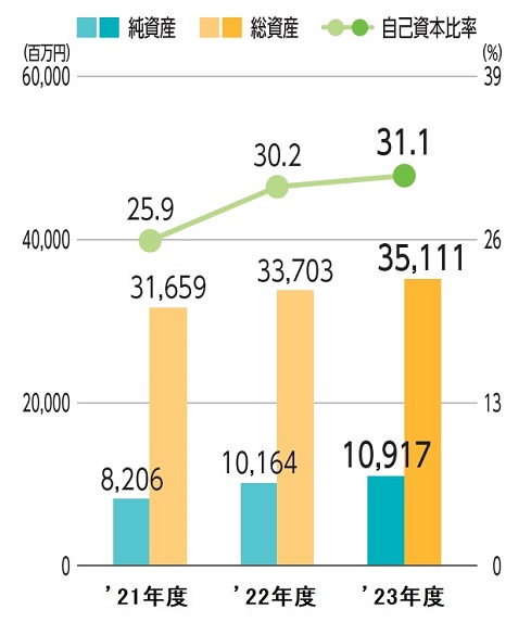 グラフ：純資産／総資産／自己資本比率